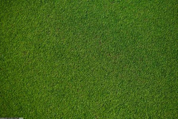 山西2025体育项目发展规划解读(图1)